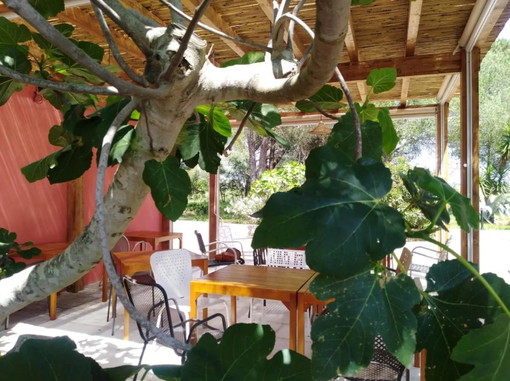 Tenuta Doxi