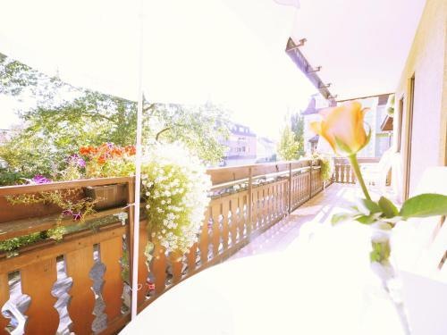 Hotel Pflug