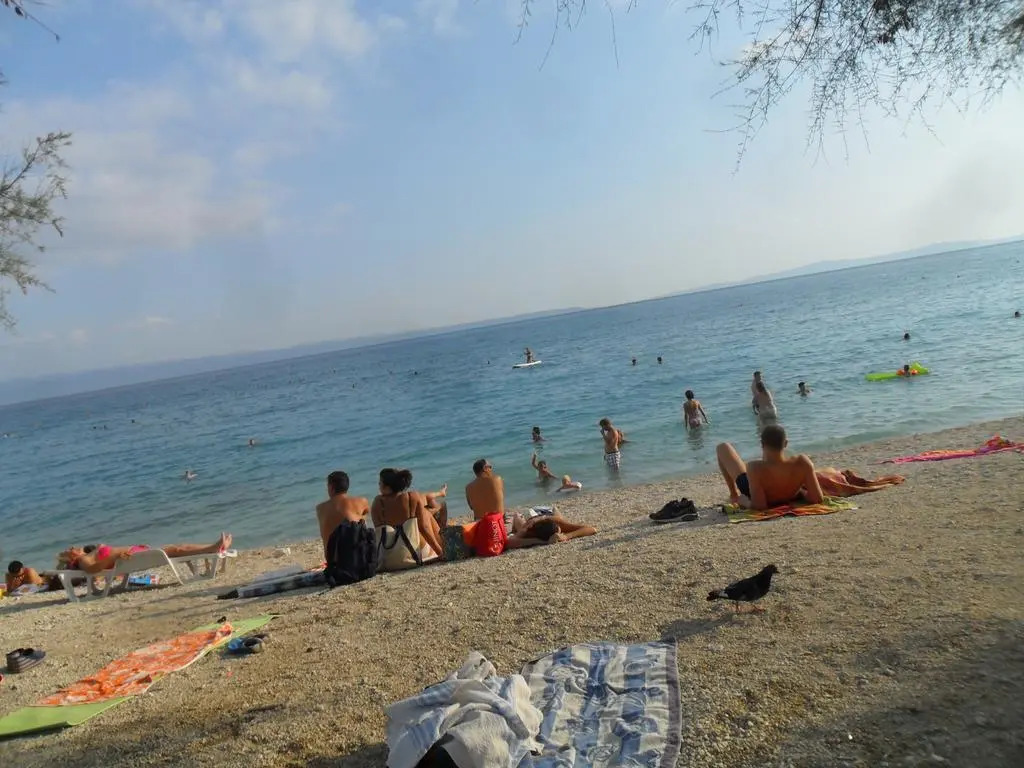 Apartments Batovanja