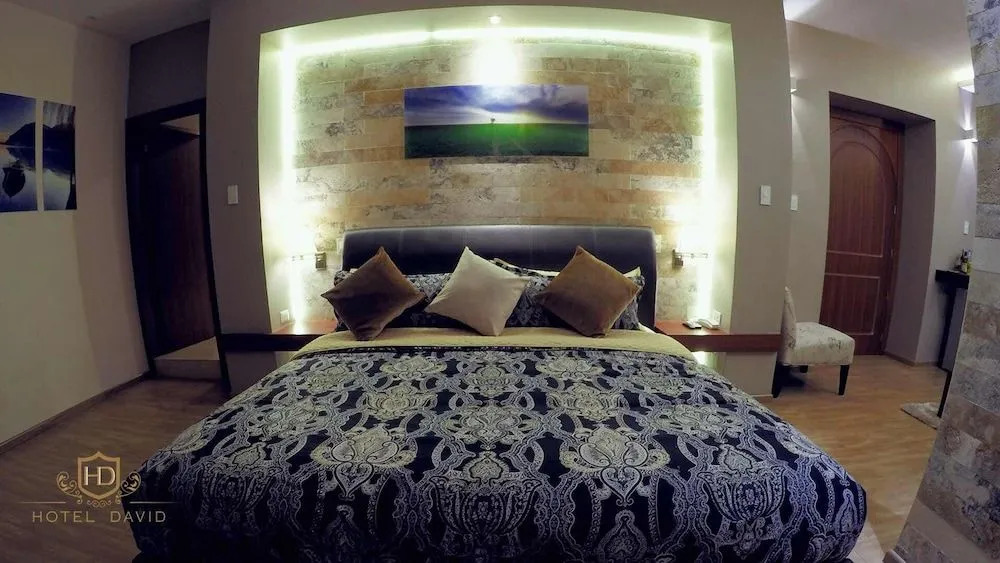 Hotel David