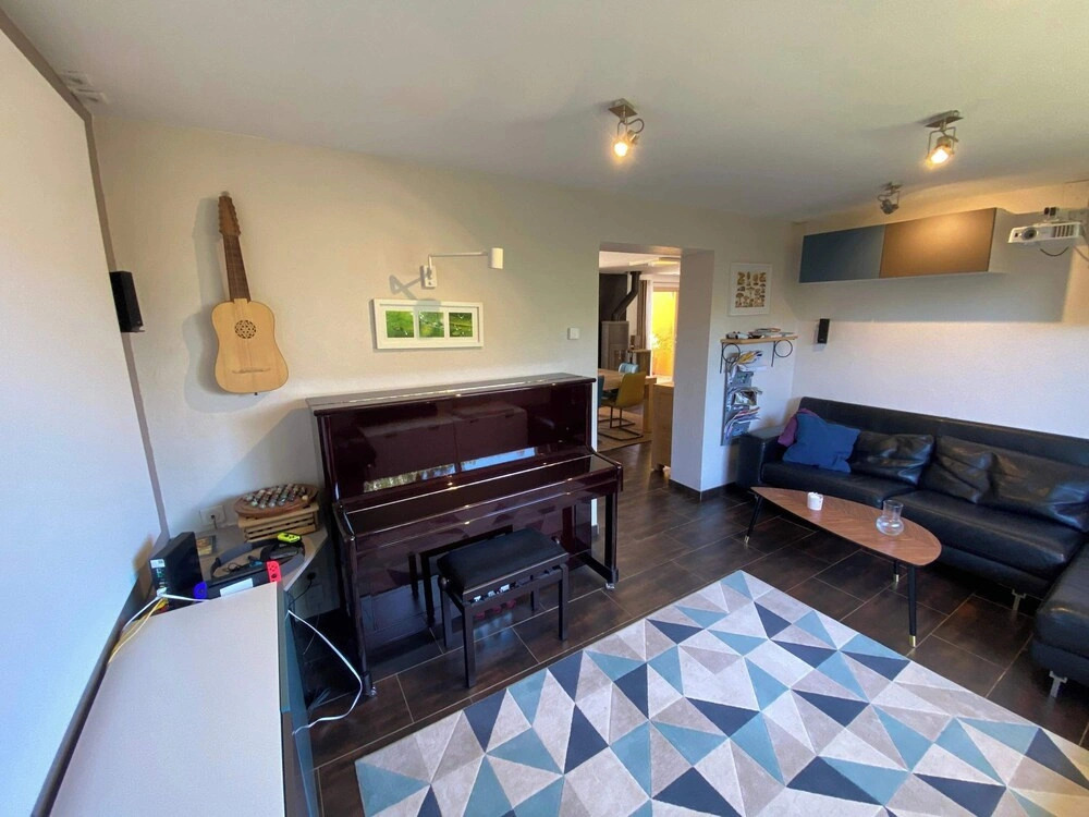 Colum Rine - Charming Villa w Private Pool Garden in Colomiers