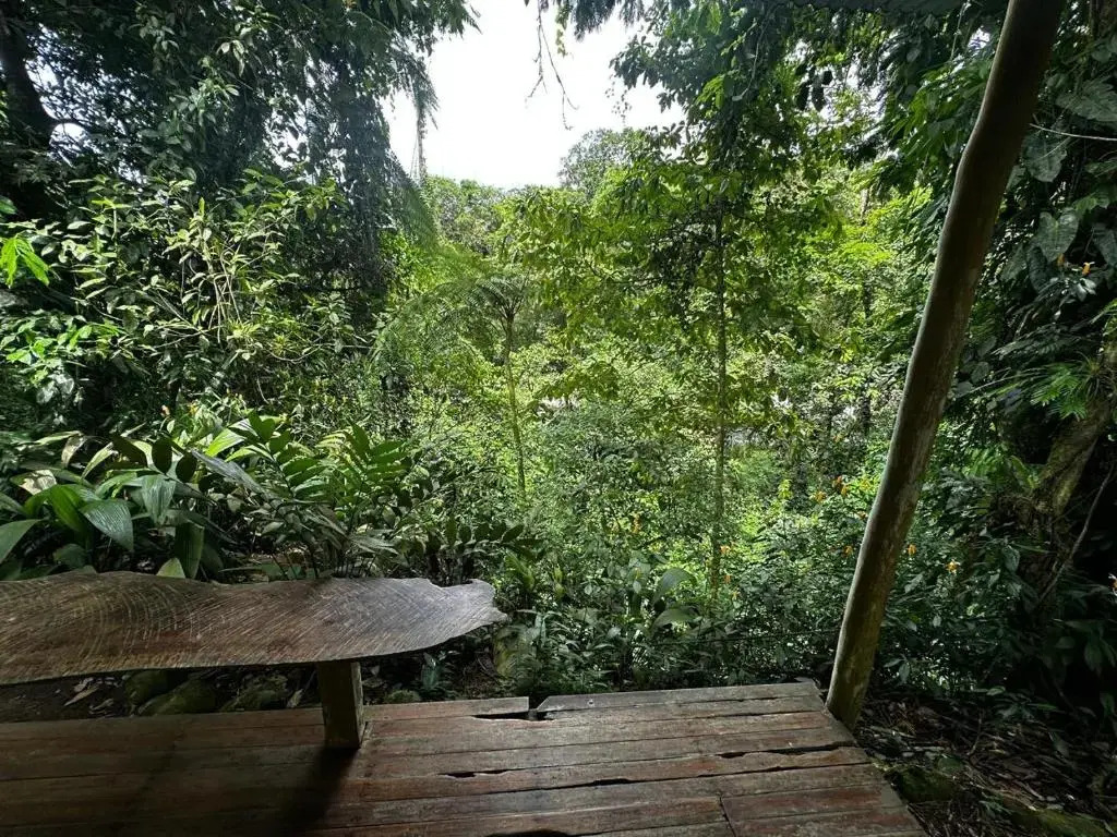 Casa Rio Blanco Eco Friendly B&B