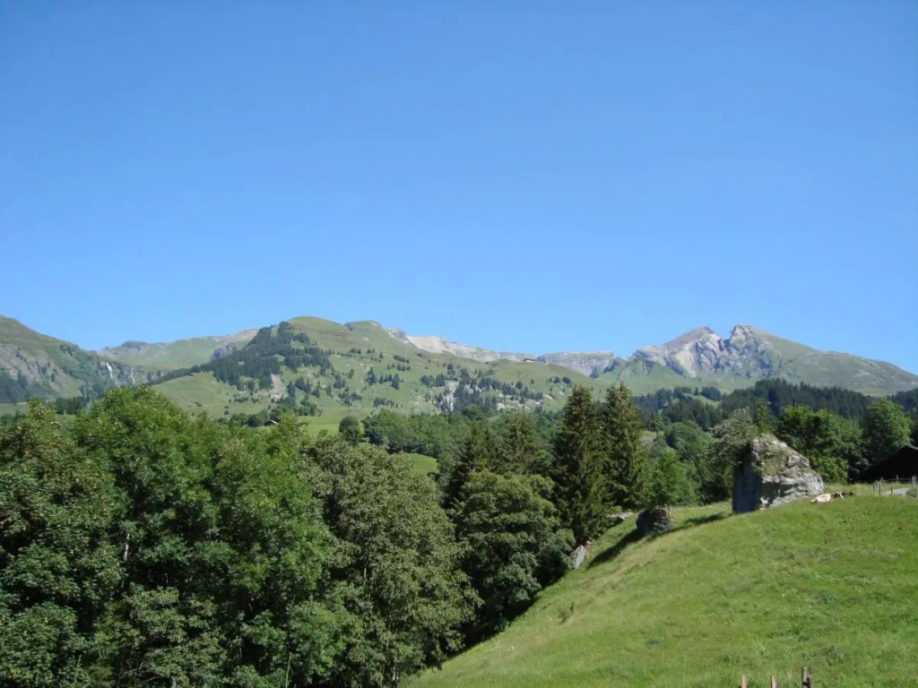 Hotel Wetterhorn