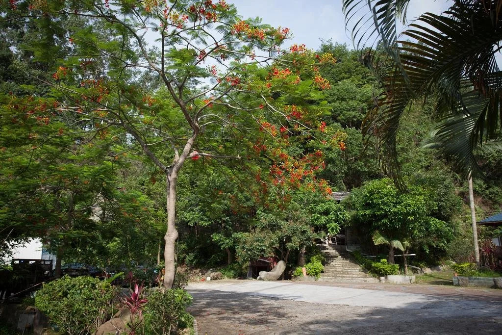 Wutong Yinxiang Inn