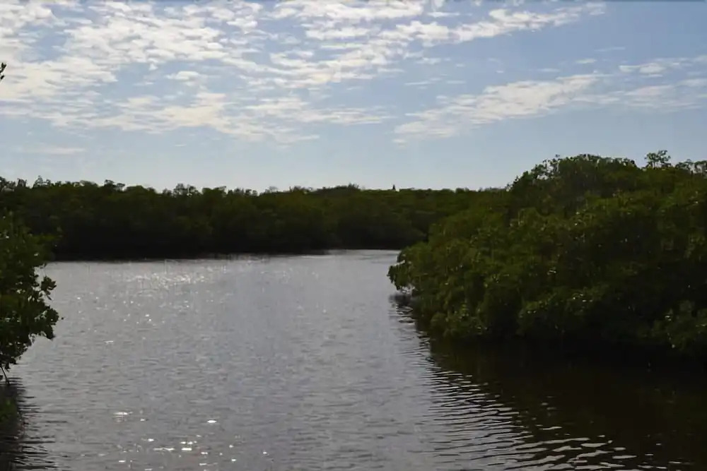 Cove at Sandy Pointe Unit 111