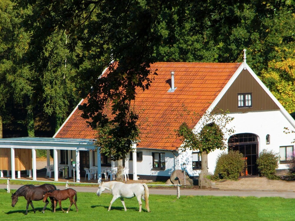 Chalet in Netherlands with Private Garden
