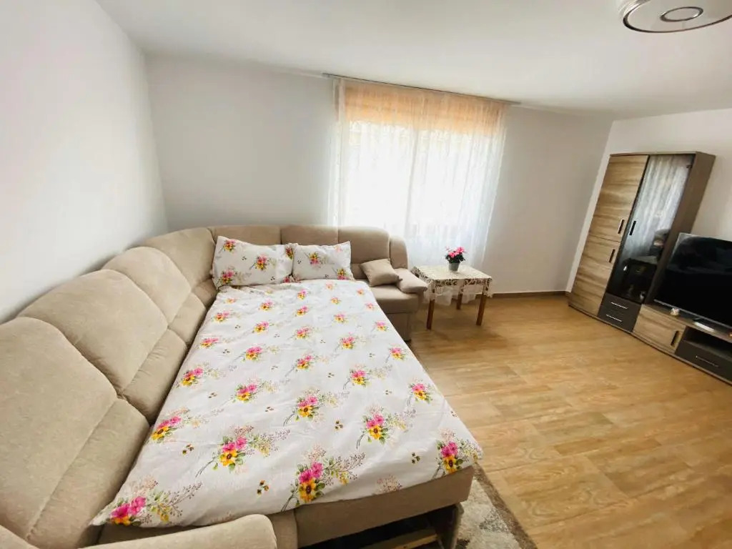 Andrei's house