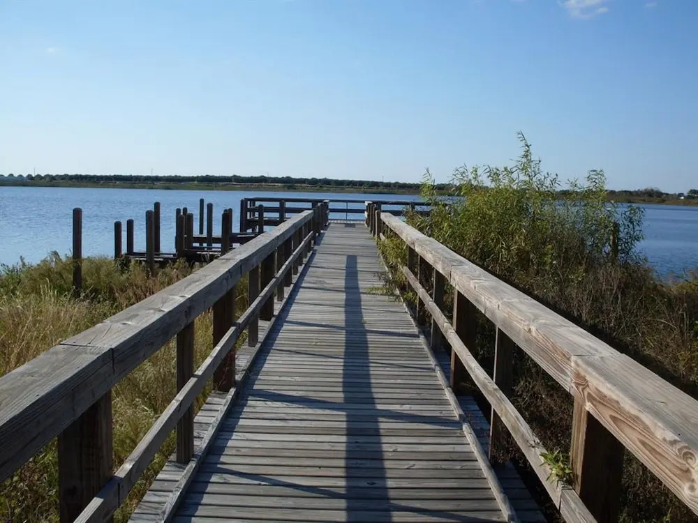 Calabay Parc at Tower Lake 288383