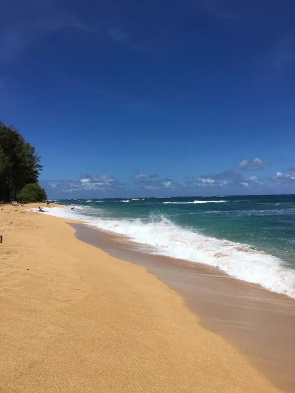 Kauai Hale Iki 1 Bedroom Home