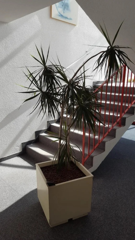 Fasthotel Tarbes Séméac - Un hôtel FH Confort