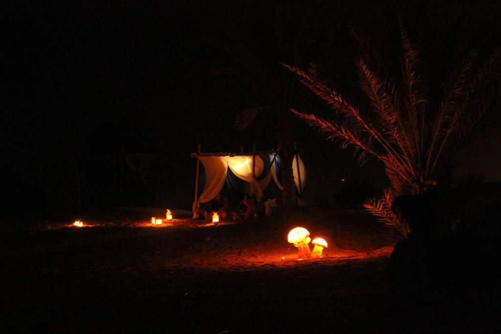 Ayla Camp
