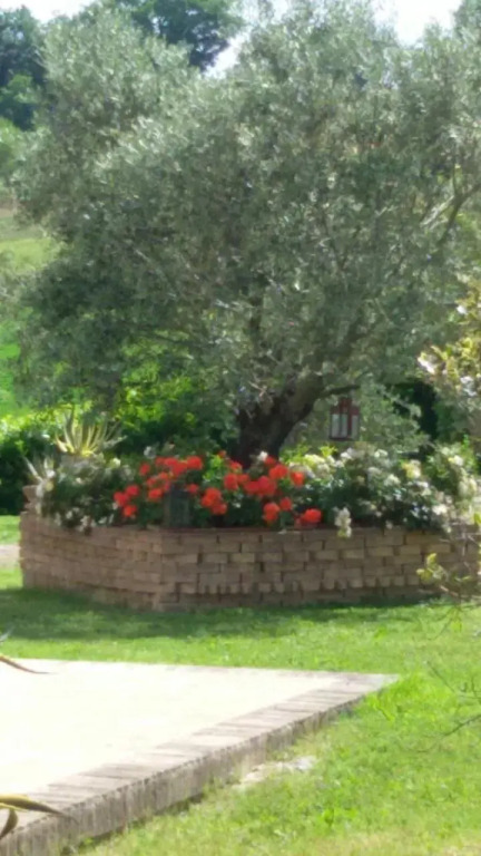 B&B Principerto