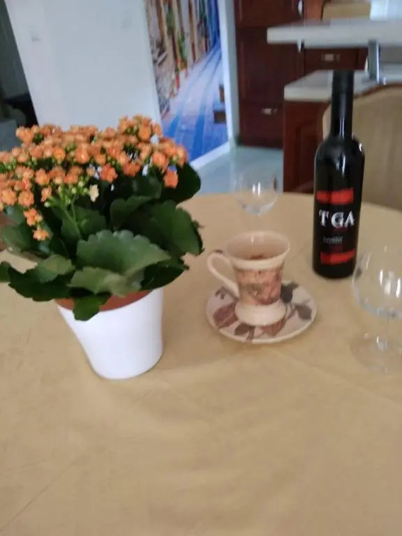 Apartman 4