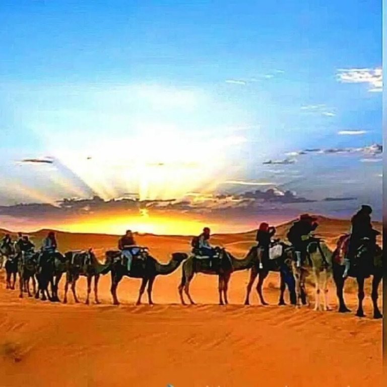 Tiwira Camp