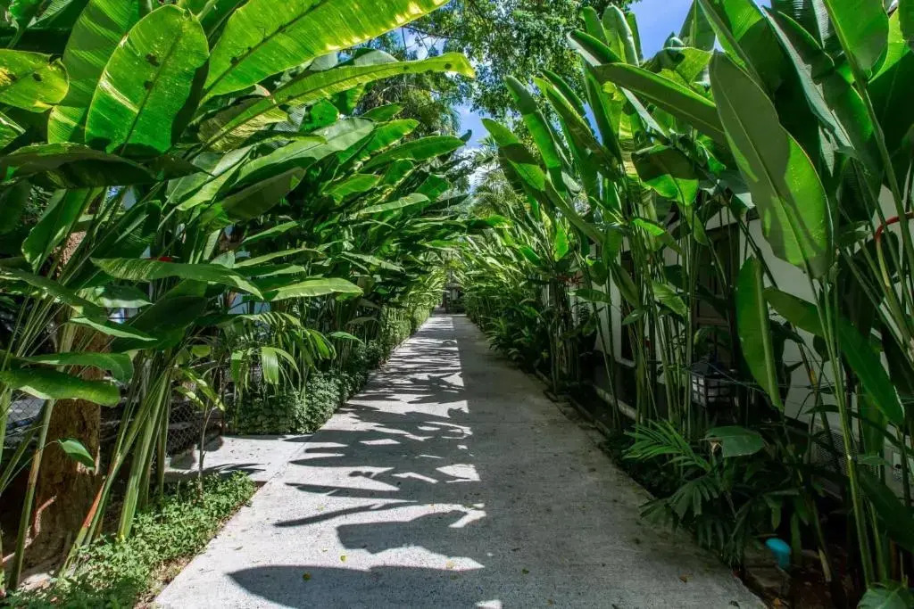 Nai Yang Beach Resort and Spa