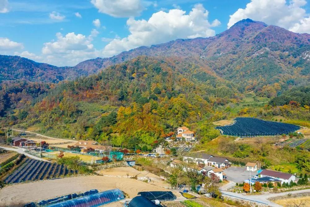 Danpoong Maul Pension