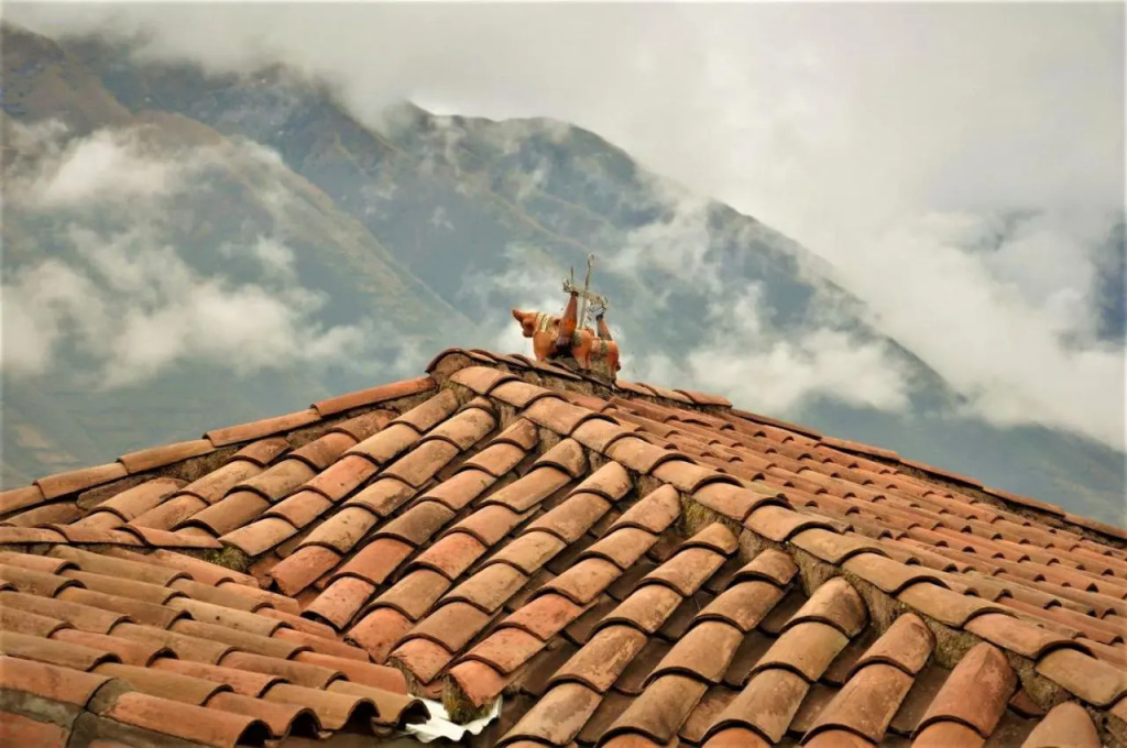 Lizzy Wasi Urubamba