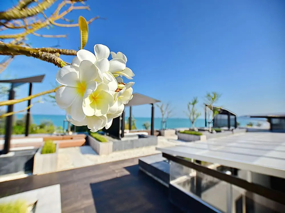 The Sanctuary Hua Hin by Puppap