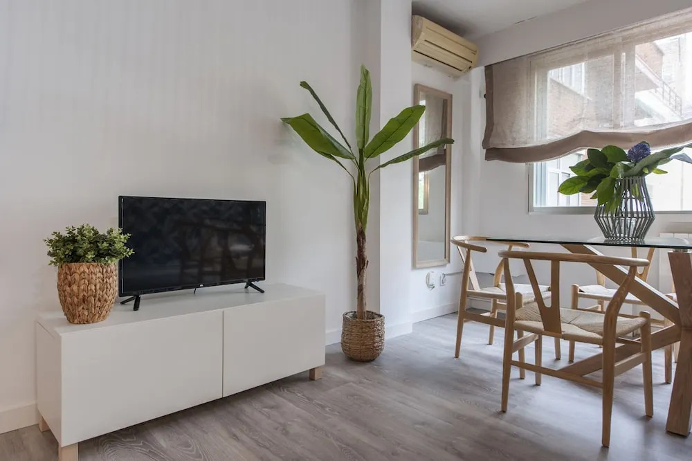 Apartamento Principe de Vergara IV