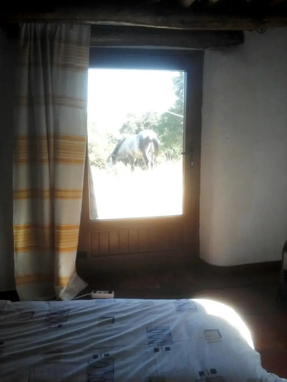Apartment With one Bedroom in Busquístar, With Wonderful Mountain View, Private Pool and Furnished Garden - Near the Slopes