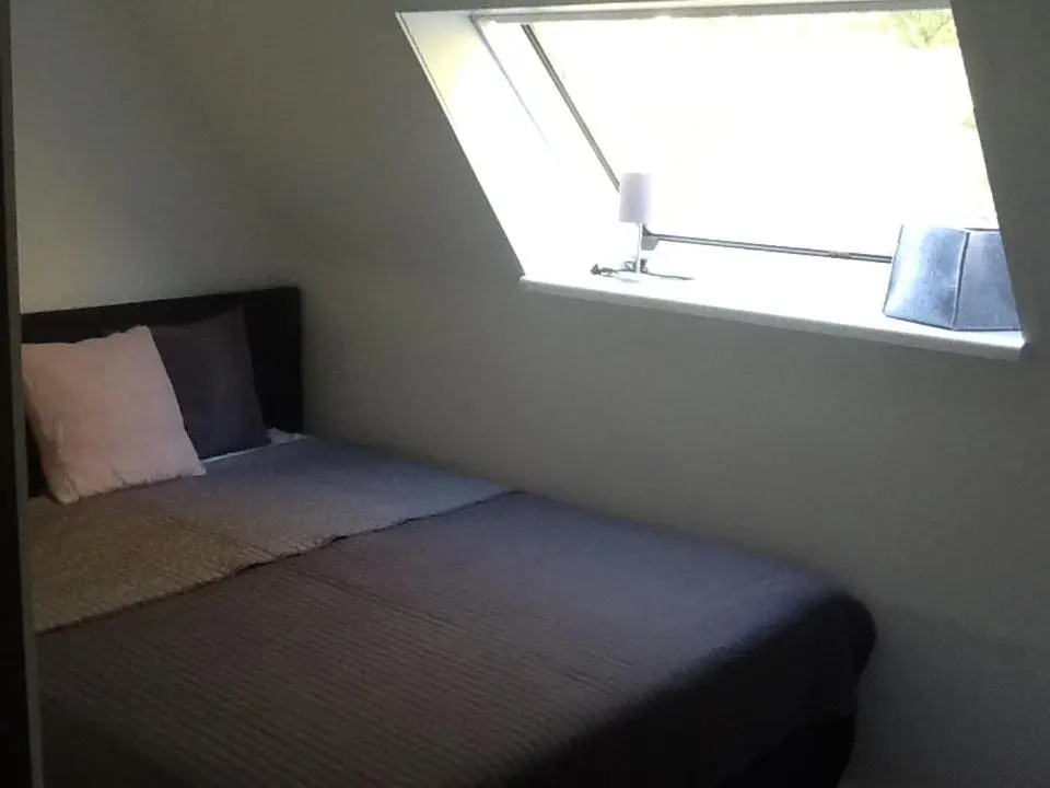 Appartement in der Waldsiedlung