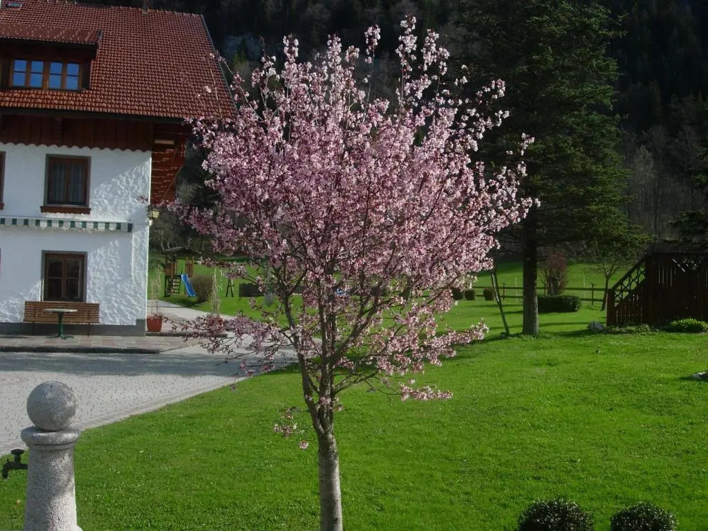 Schmiedbauernhof