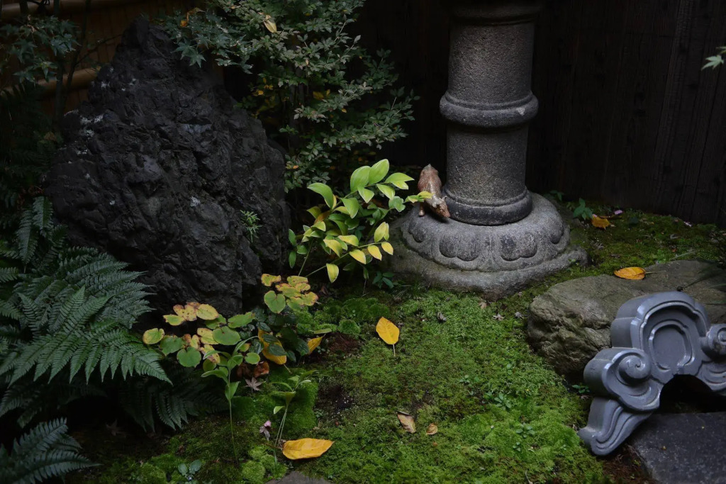 Guest House Bokuyado
