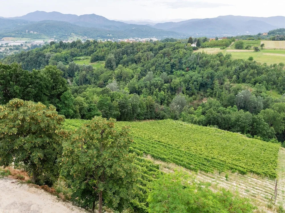 Mansion in Ovada With Pool and Scenic Hills