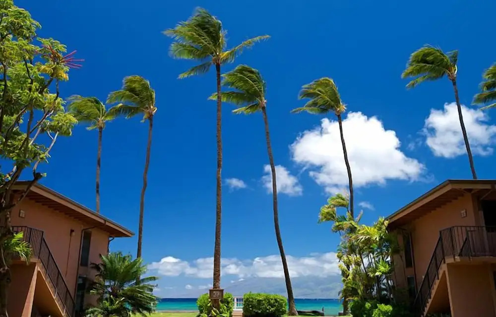 Maui Sands 6E by RedAwning
