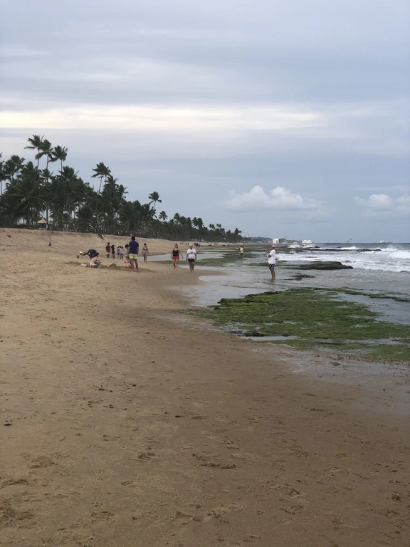Makia Beach Experience Flat Estudio 312A
