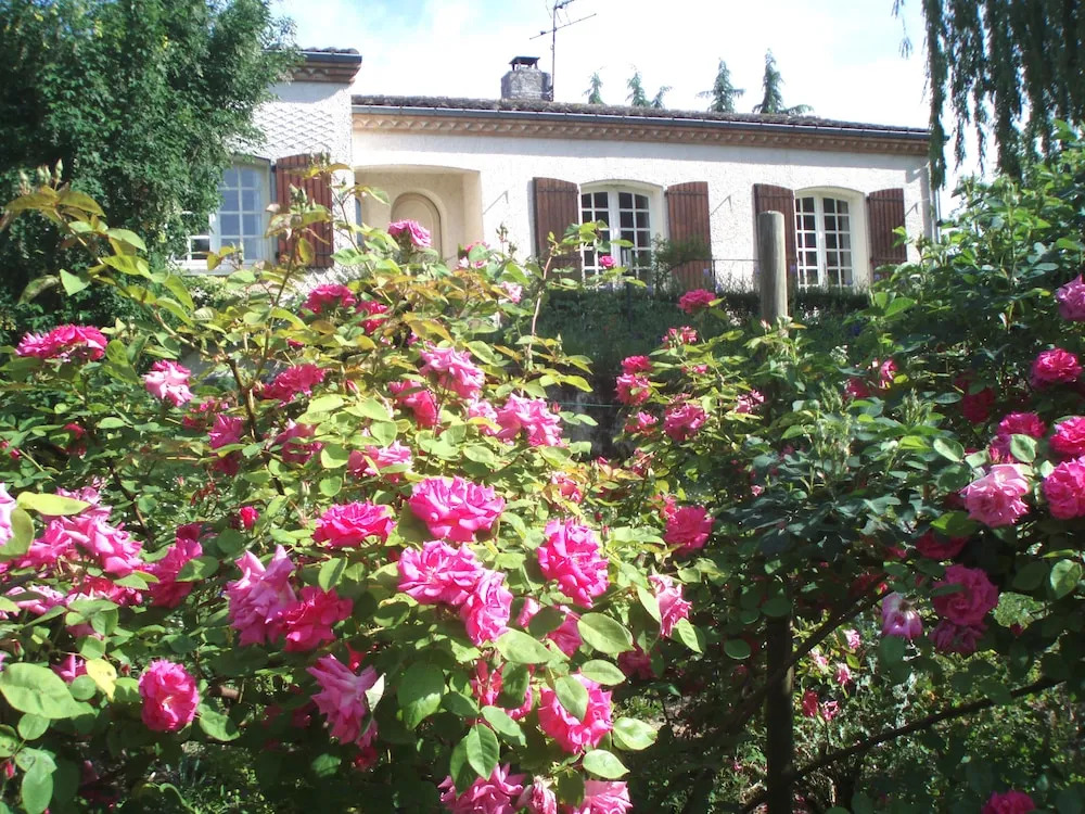Au Soleil d'Albi