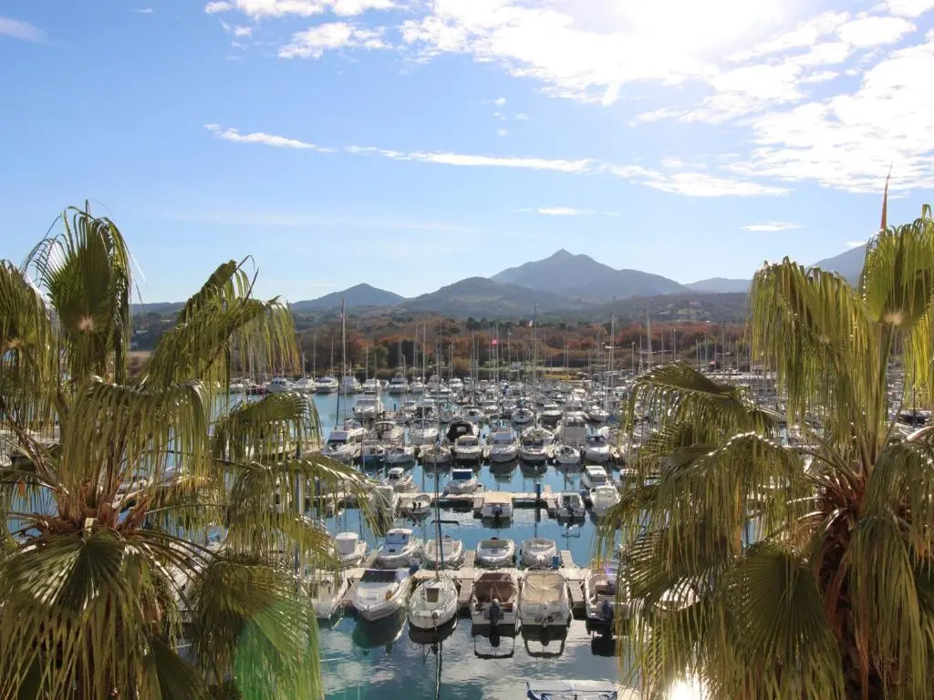 Appartement Argelès-sur-Mer, 2 pièces, 4 personnes - FR-1-309-252