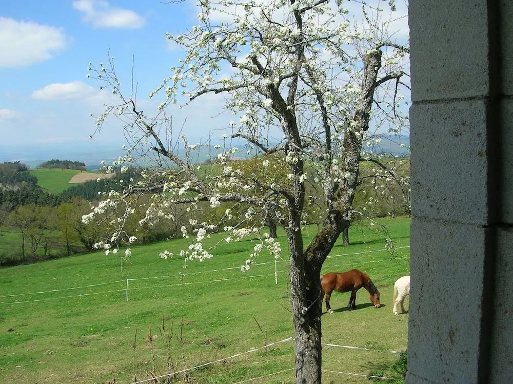 Auberge Les Liards