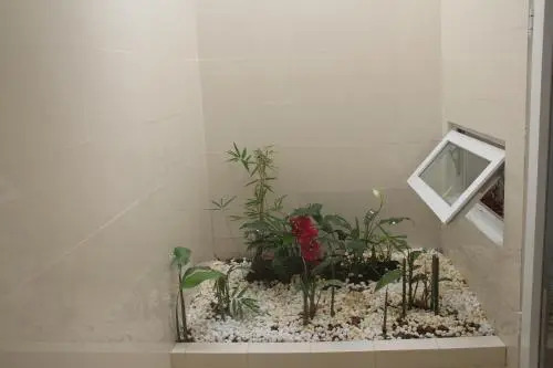 New Day Phu Quoc Guesthouse