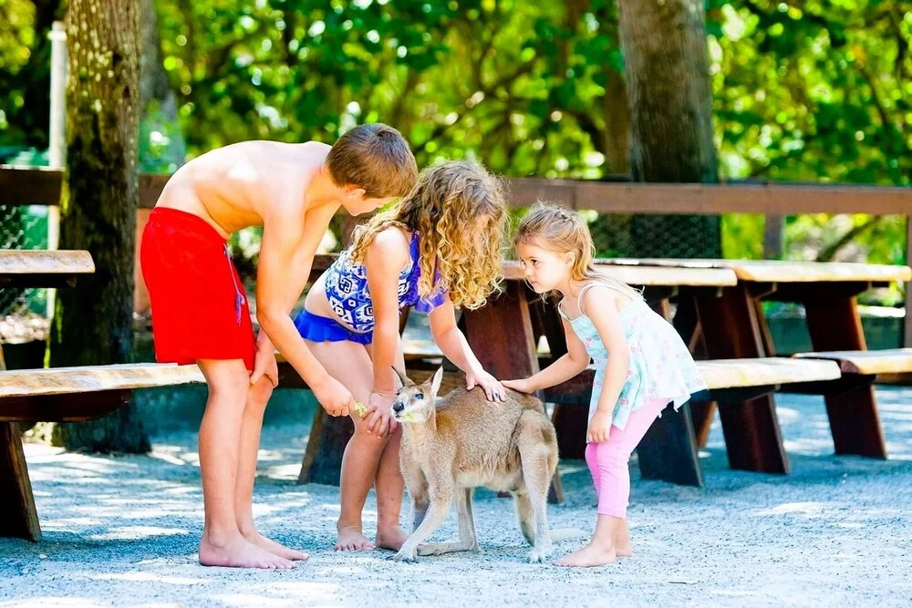 Coomera Houseboats