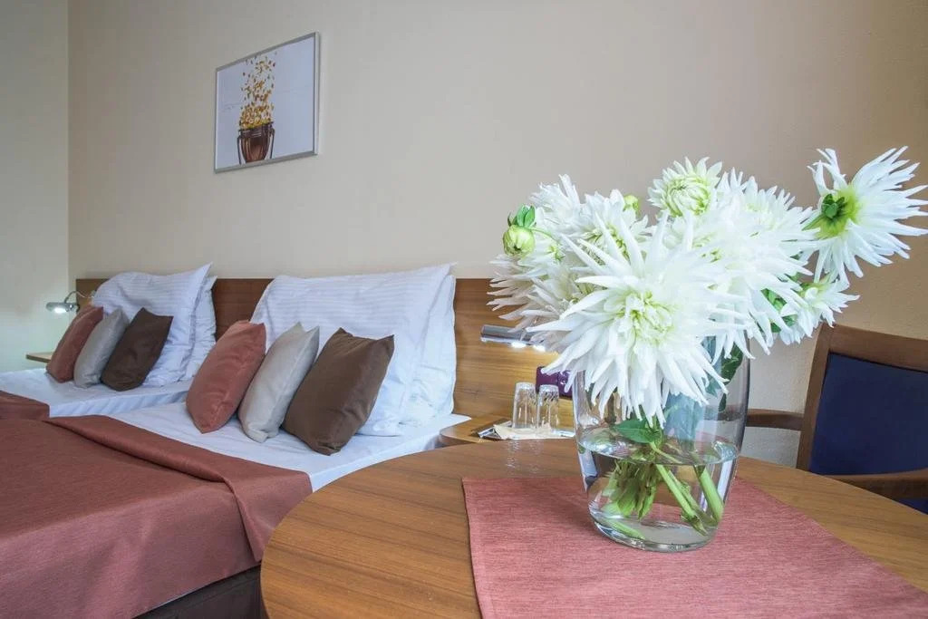 Hotel Opava