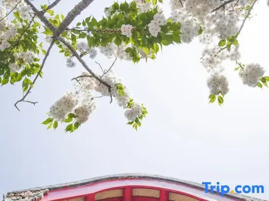 Pinheju | Yanyu Cultural Retreat Hot Spring Resort (Dongguan Street Branch)