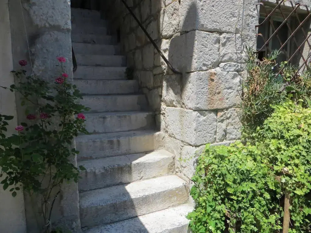 Guesthouse Luna