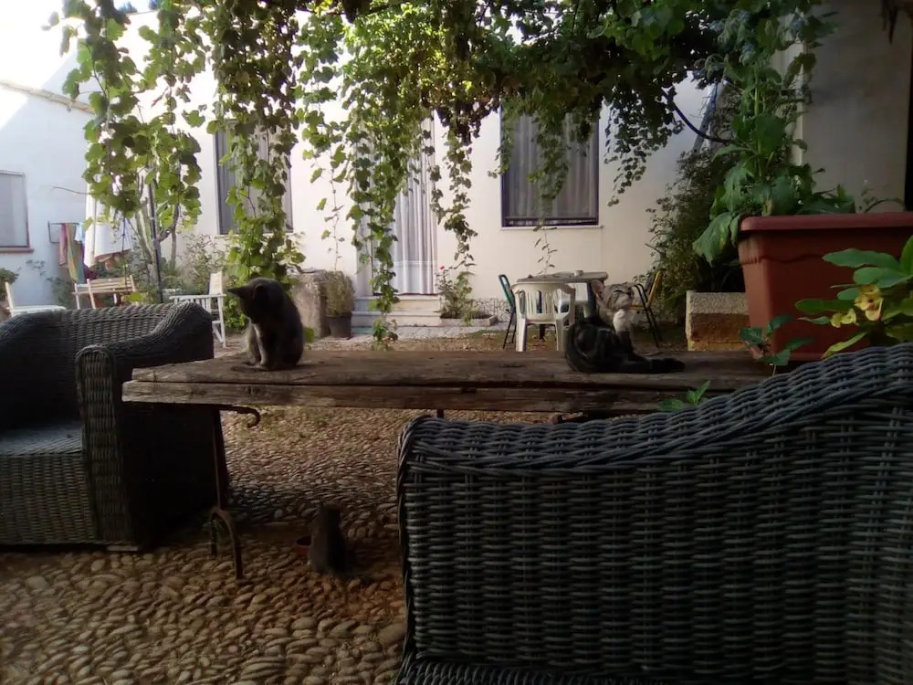 Bio Agriturismo Castelluzzo