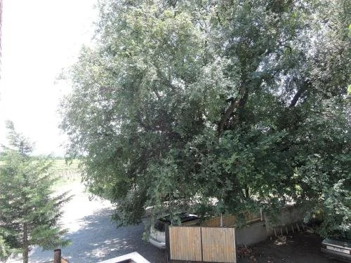 Shaloshvili's Cellar Hotel