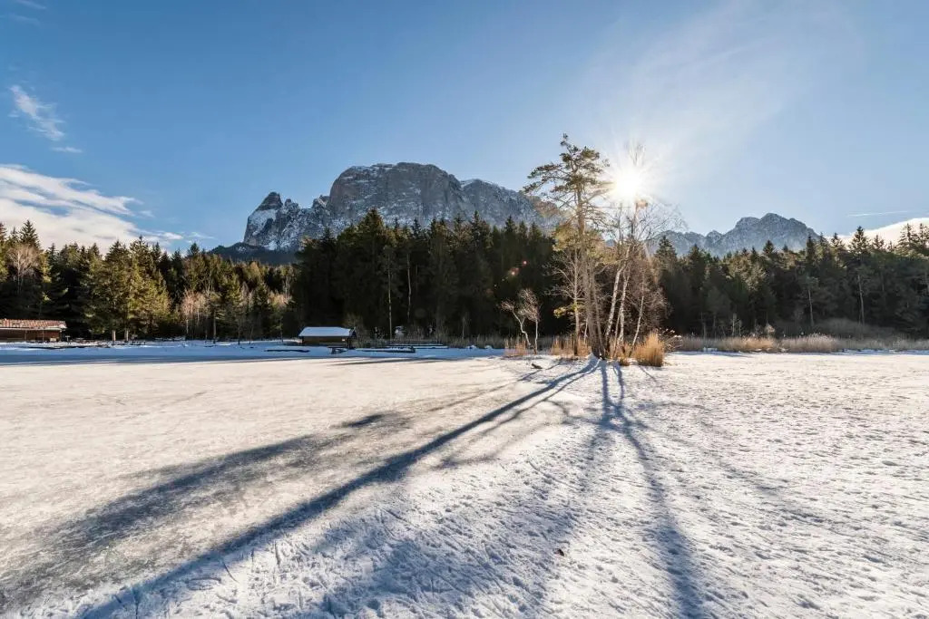 Hotel Waldsee
