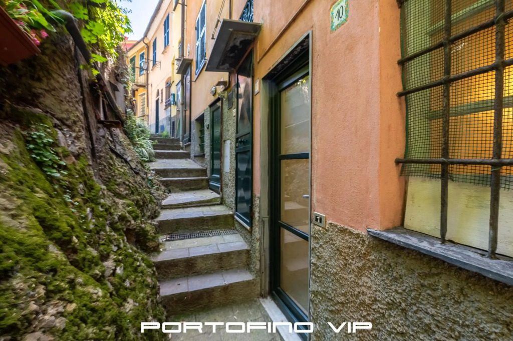 Your Window on Portofino