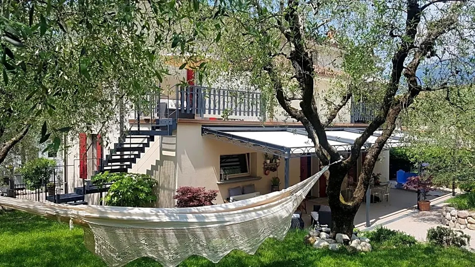 B&B ForseSiForseNo