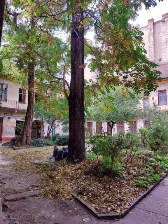 Origo Apartment