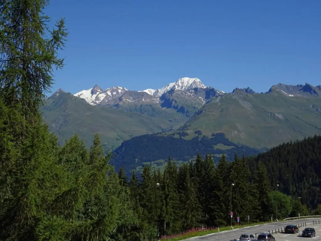 Appartement Les Arcs 1800, 1 pièce, 5 personnes - FR-1-411-331