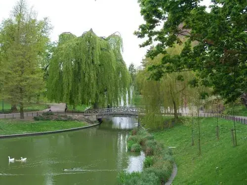 B&B Le Rêve