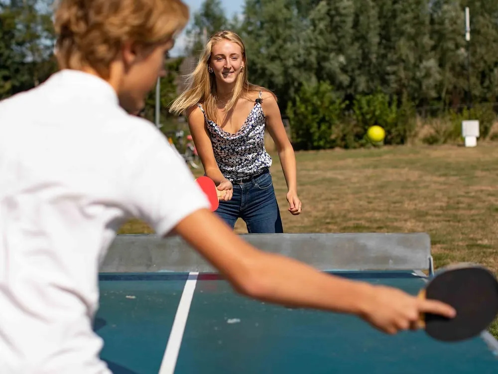 Chalet on a Holiday Park in the Achterhoek