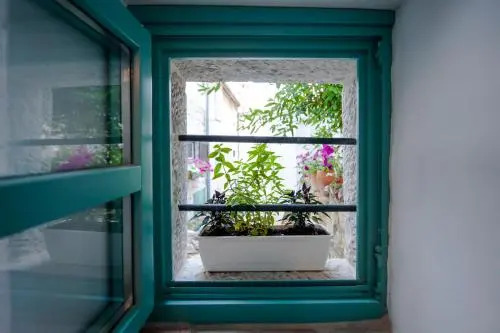 Apartment Delight City