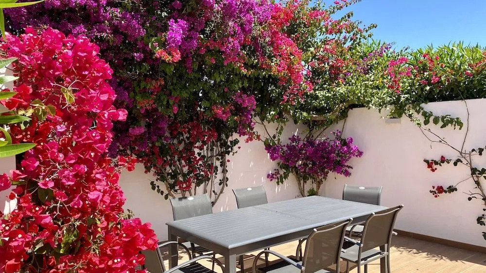 Galo - Private Pool - 8 Guests - Albufeira
