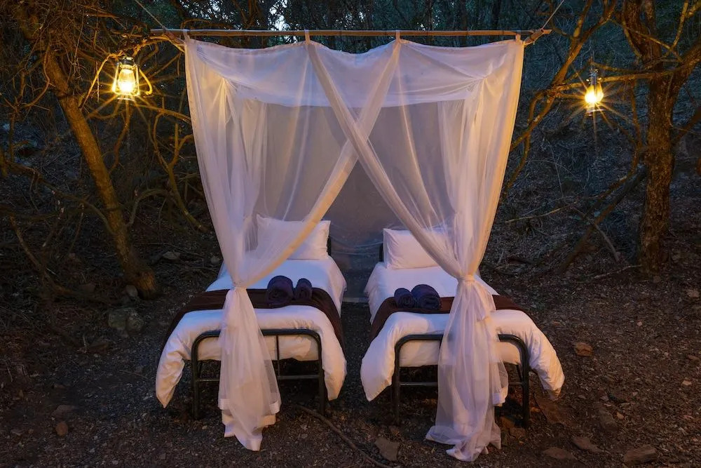 Stargazer Camp - Bellevue Forest Reserve